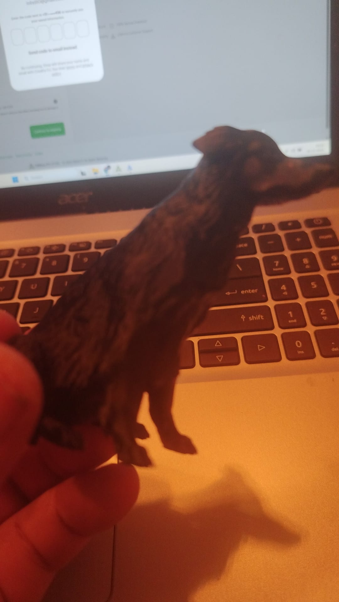 Kleine demo versie van Rex